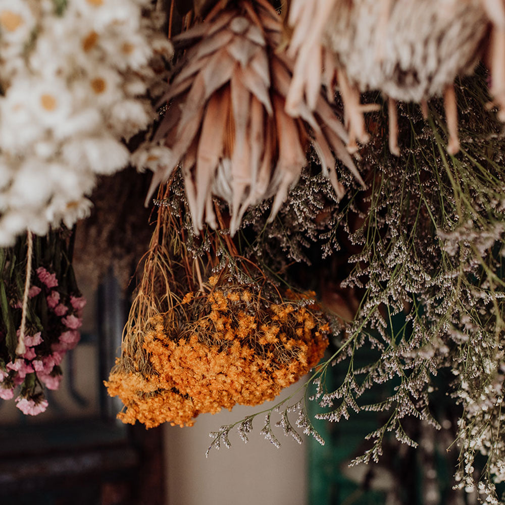 Bush Exchange | Know the Rose | Know the Rose spreads nature’s beauty all across Australia, with mindfully sourced, naturally dried and wildly unique flowers to brighten the home and soothe the soul. 