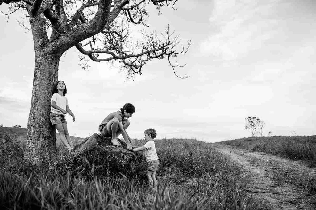 Bush Exchange | Life & Photography that connects you to the heart of the Australian bush | Pip Williams -  3 kids in tree |  Beauty in the Bush Collective 