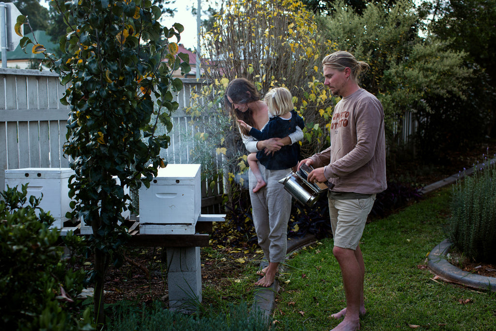 Bush Exchange | Settler Hives | Backyard Beekeepers