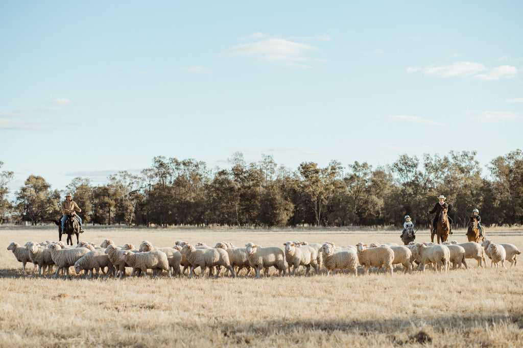 The Bush Exchange shares stories and lifestyle inspiration from the heart of the Australian bush - including Art and Photography, Life and Culture, Homes and Gardens, Travel and Landscapes, Style & Products, Brands and Creators - connecting the city, country and way outback.